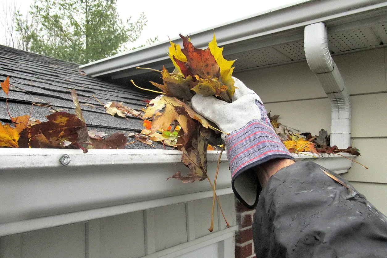 Prescott Maid to Order can help clean up the falling leaves on your Prescott home’s landscape