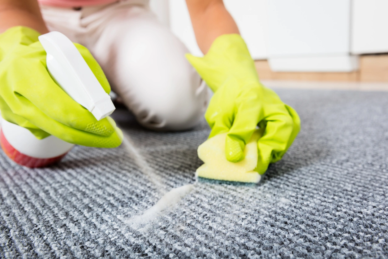 carpet-cleaning-techniques