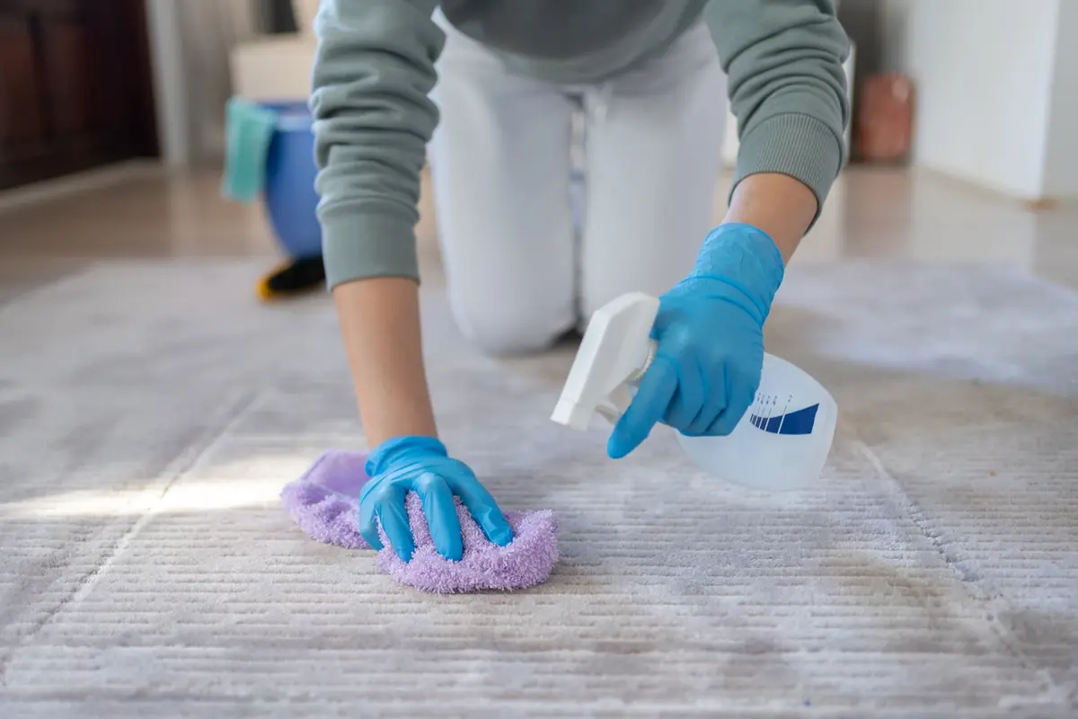 how-often-should-you-clean-your-carpets-prescott-maid-to-order maid removing a stain from a living-room carpet during a professional cleaning in a Prescott home.